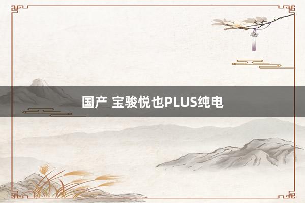 国产 宝骏悦也PLUS纯电