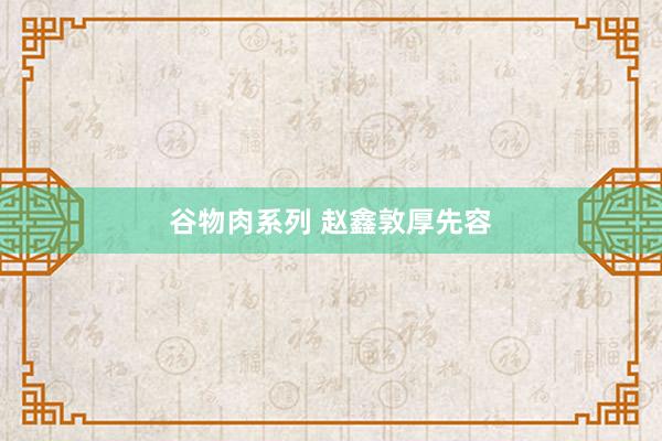 谷物肉系列 赵鑫敦厚先容