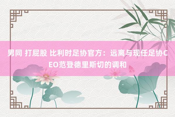 男同 打屁股 比利时足协官方：远离与现任足协CEO范登德里斯切的调和